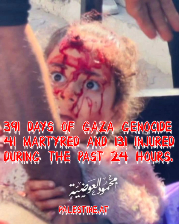 391 Days of Gaza Genocide 41 martyred and 131 injured  during the past 24 hours.